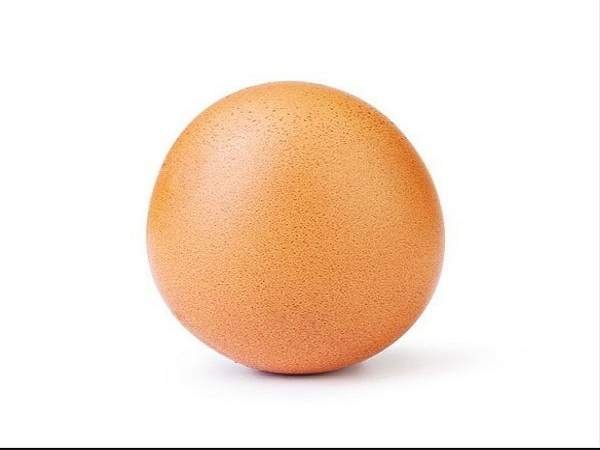 An egg Instagram